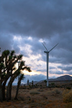 Wind Turbines In The Mojave Desert With Joshua Trees
