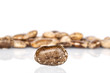 Lot of whole speckled brown bean pinto one in focus isolated on white background