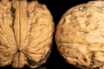 Group of two whole fresh brown walnut closeup isolated on black glass