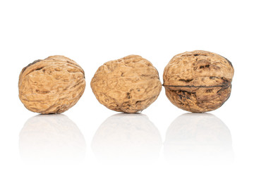 Group of three whole fresh brown walnut isolated on white background