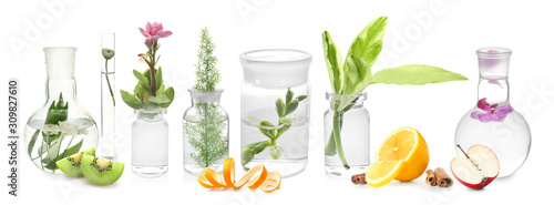 Cuadros en Lienzo Glass flask with plant on white background