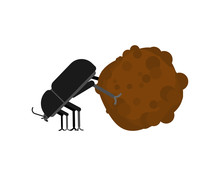 Dung Beetle And Dung Ball Isolated. Vector Illustration