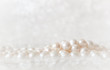 canvas print picture - Nature white string of pearls on a sparkling background in soft focus, with highlights