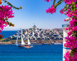 Beautiful pink and purple flowers frame a sea view in Ortakent, Bodrum, Turkey