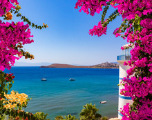 Beautiful Pink And Purple Flowers Frame A Sea View In Ortakent, Bodrum, Turkey