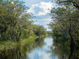 Fototapeta Krajobraz - View down a water channel through trees in Everglades National Park, Florida.