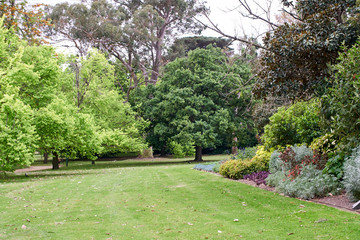 royal botanic gardens victoria