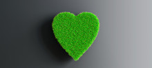 Green Heart Made Of Grass Isolated On Black Background, Concept Of Love For Ecology, Preservation, Organic Production, 3d Rendering, 3d Illustration