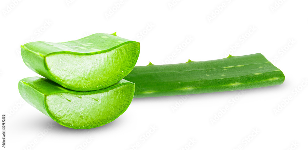 aloe vera steinfeld Aloe Vera – THE GARDEN CENTRE