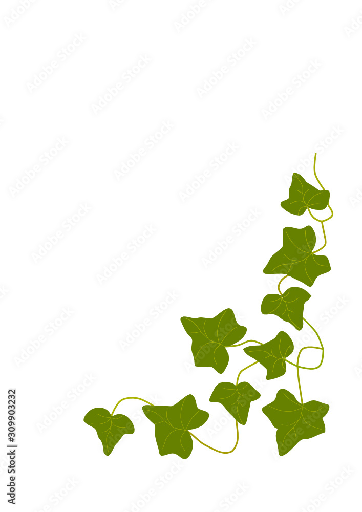 efeu Stock Vector | Adobe Stock