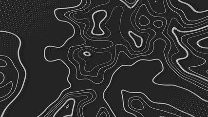 Topographic background and texture, monochrome image. 3D waves. Cartography Background. Map mockup infographics. Wavy backdrop. Cardboard.
