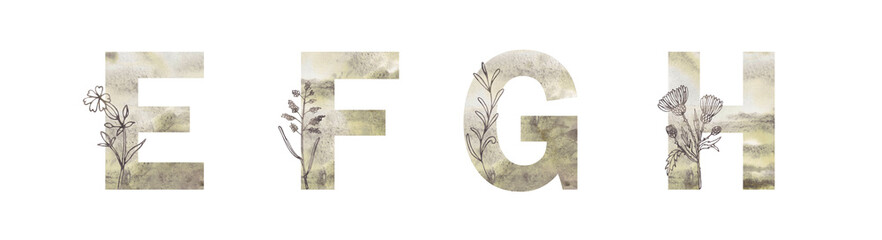 watercolor illustration. light textured alfaite with elements of herbs. letters e, f, g, h. stylish 