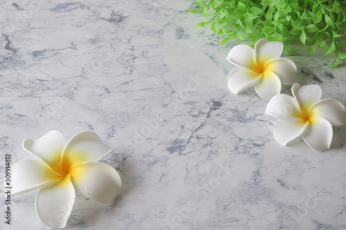 ハワイ アドビストックのデザイン かべいろ Com おしゃれ壁紙リフォーム貼り替え インクジェット壁紙のかべいろ Com