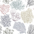 Vector seamless pattern with hand drawn ocean plants and coral reef elements in sketch style.