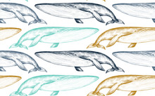 Vector Monochrome Seamless Pattern With Whales In Sketch Style.