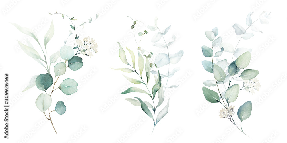 Watercolor floral illustration set - green leaf branches collection, for wedding stationary, greetings, wallpapers, fashion, background. Eucalyptus, olive, green leaves, etc. - obrazy, fototapety, plakaty 