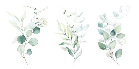 Wall Mural - Watercolor floral illustration set - green leaf branches collection, for wedding stationary, greetings, wallpapers, fashion, background. Eucalyptus, olive, green leaves, etc.