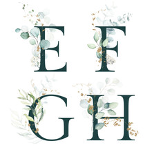 Dark Green Floral Alphabet Set - Letters E, F, G, H With Green Leaves, Botanic Branch Bouquet Composition. Unique Collection For Wedding Invites Decoration And Many Other Concept Ideas.