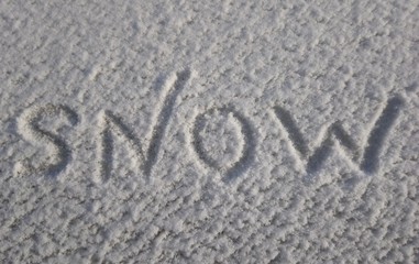 tracks in snow