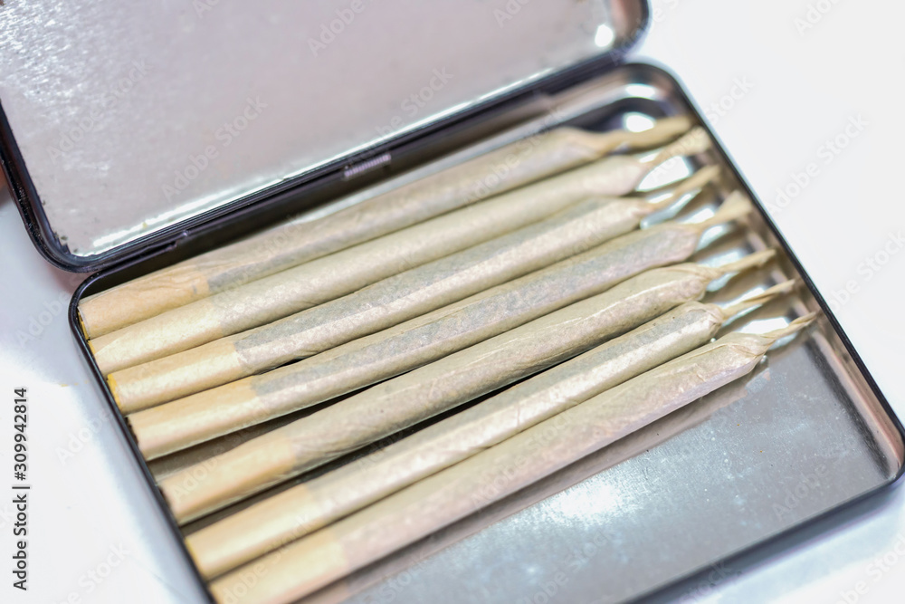 Marijuana cannabis joint in cigarette case. Stock Photo