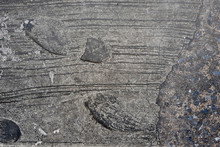 Shoe Footprint  On Concrete Cement