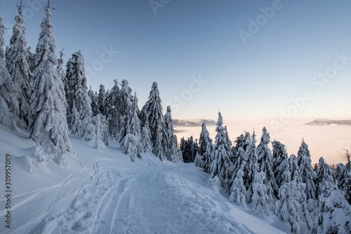 Obrazy Karpaty   pokryty-sniegiem-szlak-turystyczny-z-zamarznietymi-drzewami-wokol-i-wzgorzami-w-tle