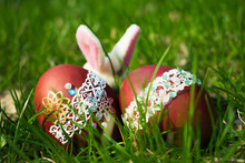 Easter Decorated Eggs And Easter Bunny Behind