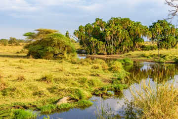 Wall Mural - River and Lake in beautiful landscape scenery of Serengeti National Park, Tanzania - Safari in Africa