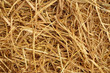 Yellow dry straw used to make the background