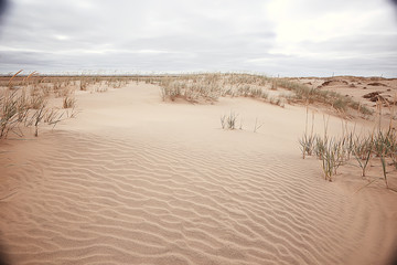 Wall Mural - desert landscape / sand desert, no people, dune landscape