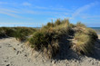 dune belgique