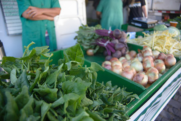 fresh vegetables at the market