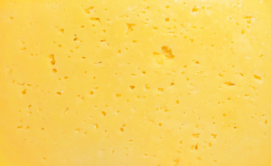 Wall Mural - Cheese texture. Background of fresh yellow cheese with holes