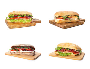 Set of delicious sandwiches on white background