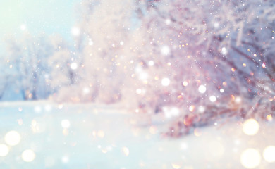 Wall Mural - christmas winter blurred background. xmas tree with snow, holiday festive background. widescreen bac