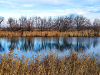 Canvas Print - Lake in autumn forest. Beautiful nature background