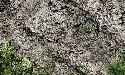 Wall Mural - Detailed close up view on acre grounds during drought by climate change