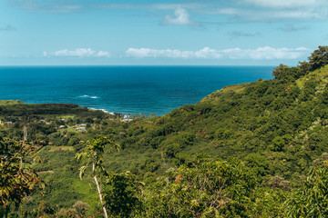 Wall Mural - lush tropical jungle panoramic view of the island clear blue water horizon and blue cloudy sky