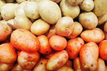 Poster - Closeup fresh Pile of Raw Potatoes texture background