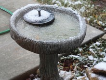 Medium Close Up Of A Bird Bath Frozen With Snowflakes In Winter