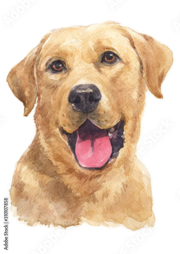 Photographie Water colour painting of Labrador Retriever 068