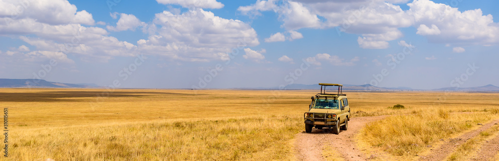 Safari tourists on game drive with Jeep car in Serengeti National Park in beautiful landscape scenery, Tanzania, Africa - obrazy, fototapety, plakaty 