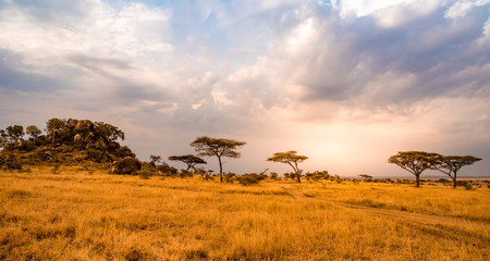 Wall Mural - Game drive on dirt road with Safari car in Serengeti National Park in beautiful landscape scenery, Tanzania, Africa