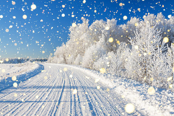 Poster - winter landscape with road and forest