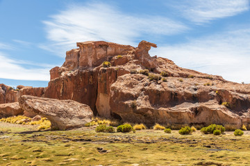 Wall Mural - Eroded  rocks at laguna negra in Bolivia