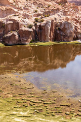 Wall Mural - Eroded  rocks at laguna negra in Bolivia