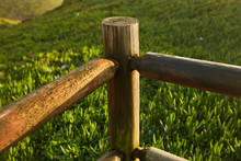 Wooden Cross On Stump