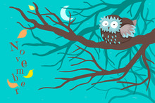 The Scared Owlet Sleeps On A Tree, A Branch Of Trees At Night And The Last Yellow Leaf.
