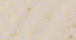 © TWINS DESIGN STUDIO - Luxury Golden geometric shape background pattern for wallpaper and packaging design Vector gold texture.