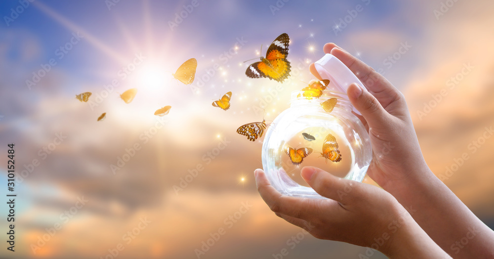 The girl frees the butterfly from the jar, golden blue moment Concept of freedom - obrazy, fototapety, plakaty 